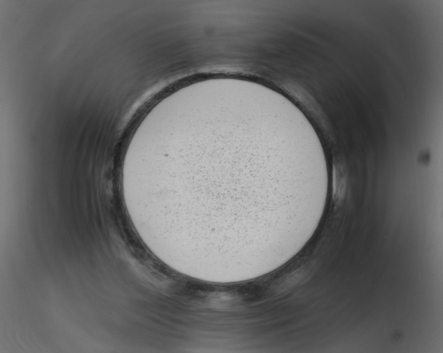 X0000116600204200912312104