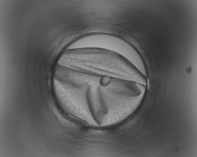 X0000116600205200912312104