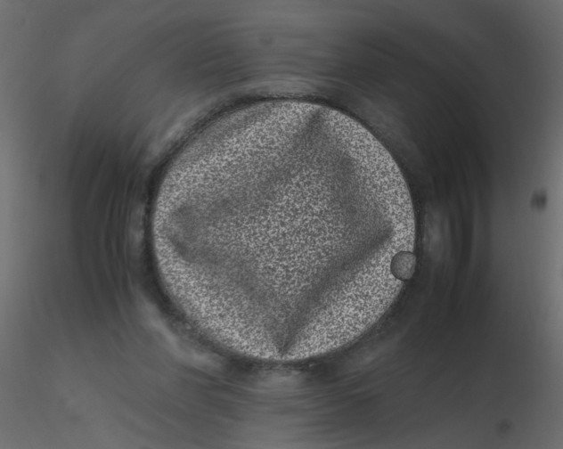 X0000116600206200912312104