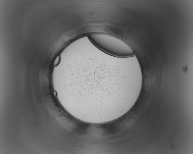 X0000116600207200912312104