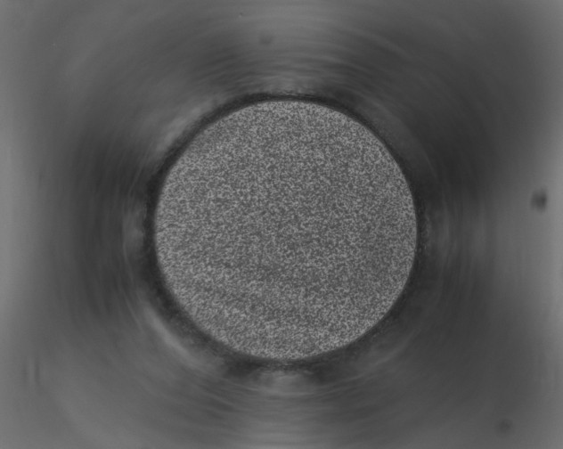 X0000116600208200912312104