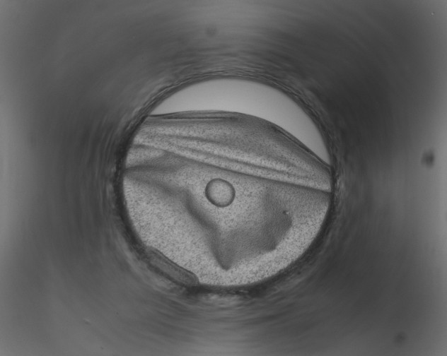 X0000116600209200912312104