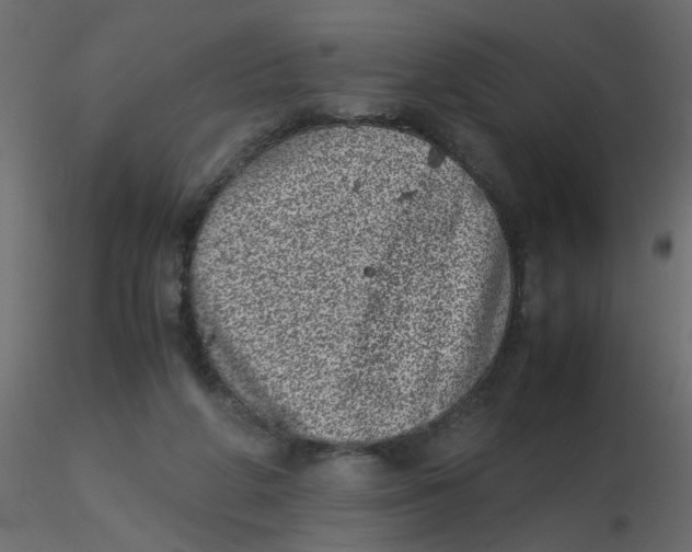 X0000116600210200912312104
