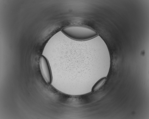 X0000116600211200912312104