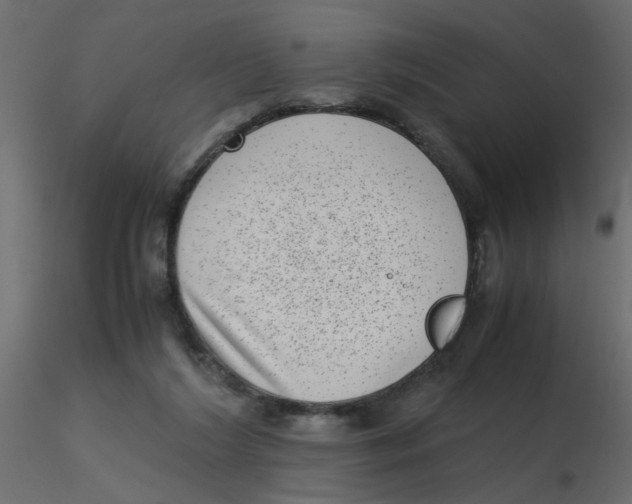 X0000116600212200912312104