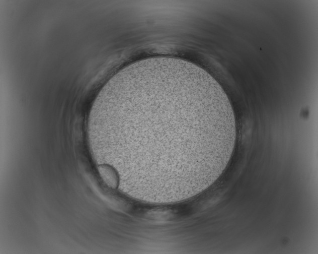 X0000116600213200912312104