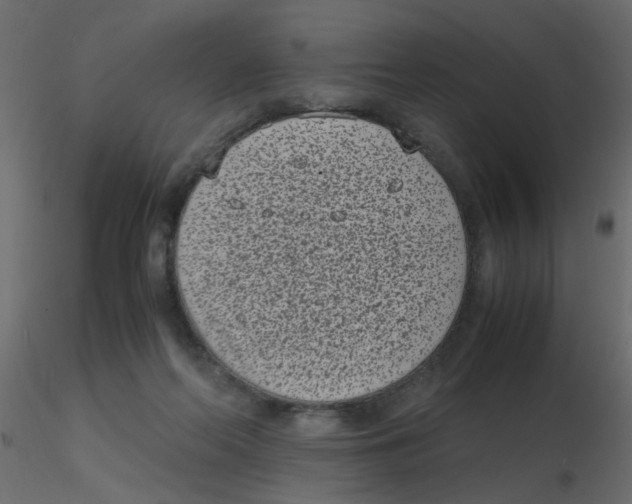 X0000116600214200912312104