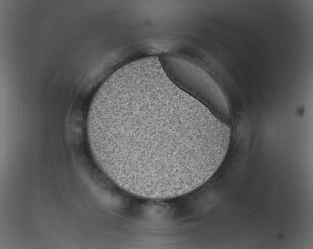 X0000116600215200912312104