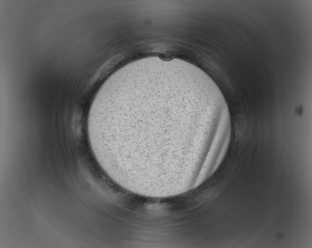 X0000116600216200912312104