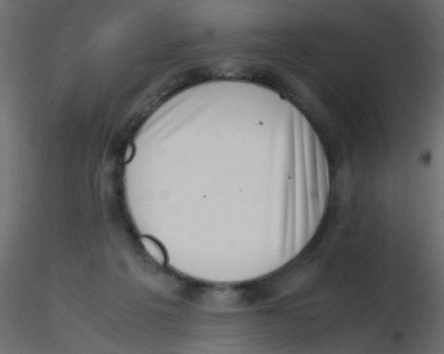 X0000116600217200912312104
