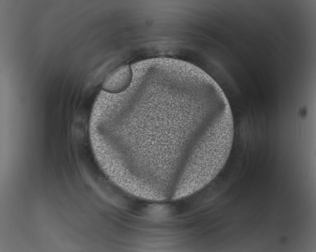 X0000116600218200912312104
