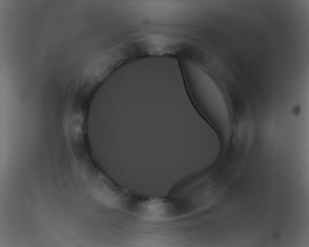 X0000116600219200912312104