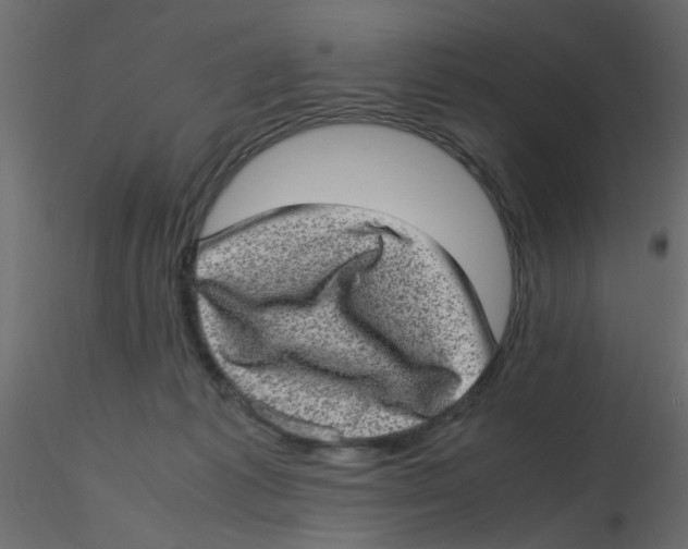 X0000116600221200912312104