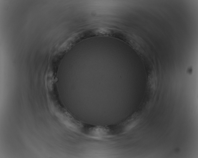 X0000116600223200912312104