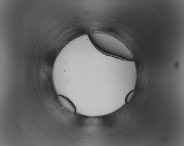 X0000116600225200912312103