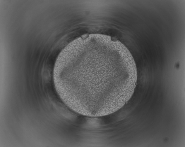 X0000116600226200912312103