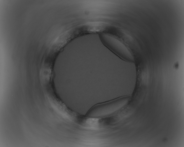 X0000116600227200912312103