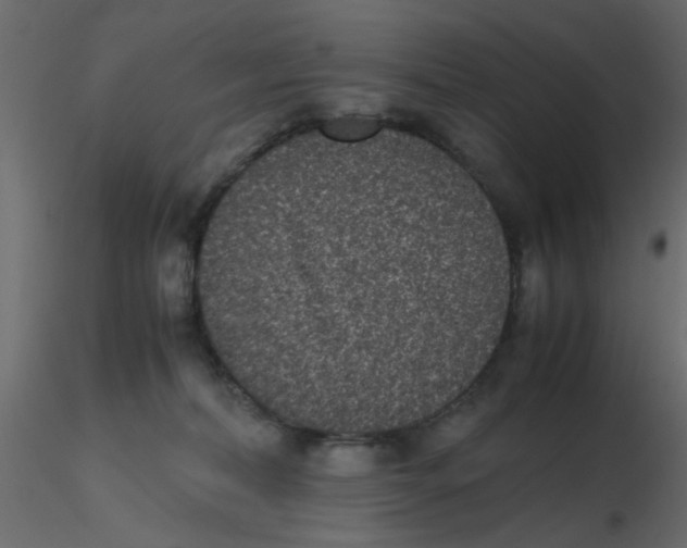 X0000116600228200912312103