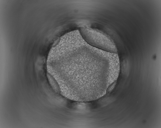 X0000116600229200912312103