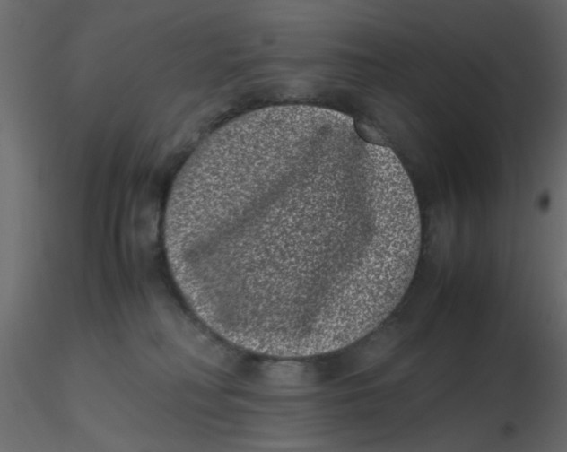 X0000116600230200912312103
