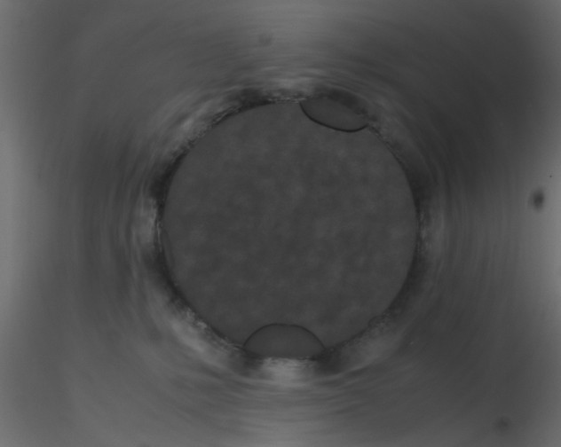 X0000116600231200912312103