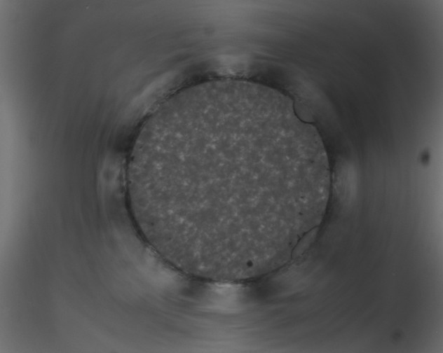 X0000116600233200912312103