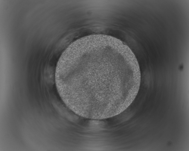 X0000116600234200912312103
