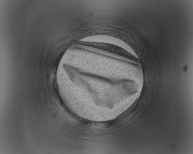 X0000116600235200912312103