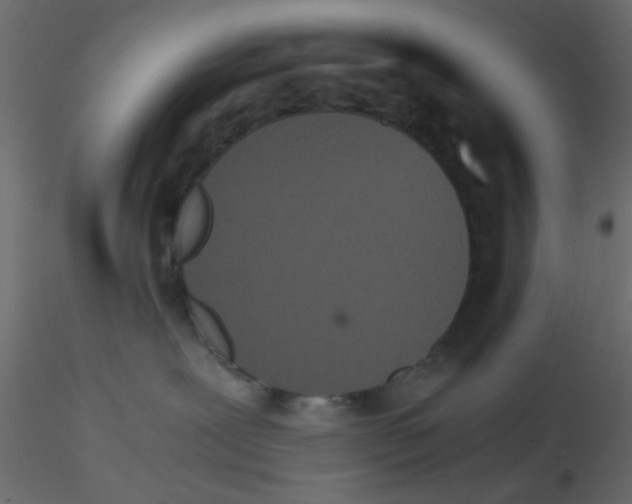 X0000116600239200912312103