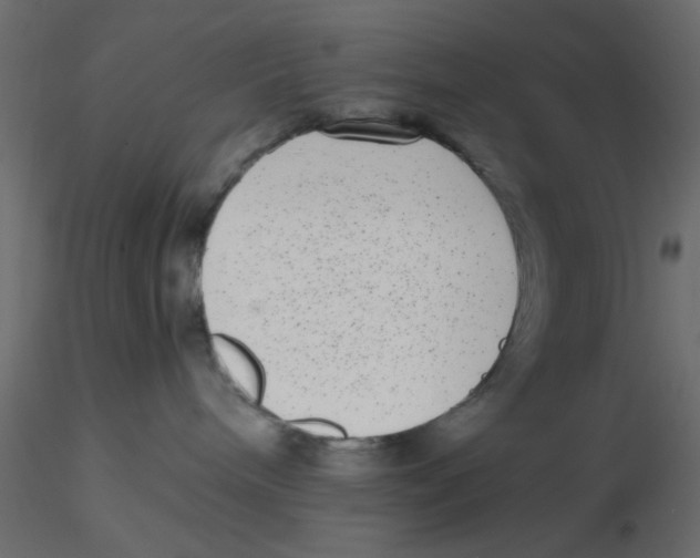 X0000116600240200912312103