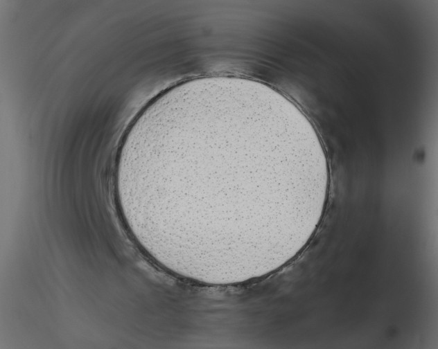 X0000116600241200912312103