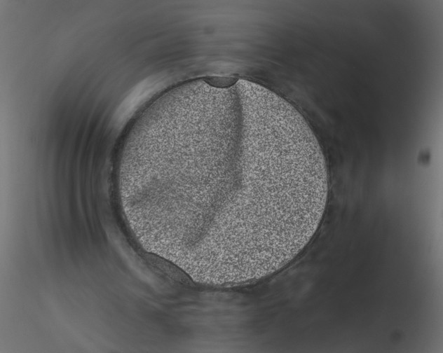 X0000116600242200912312103