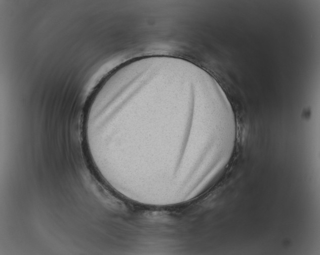 X0000116600244200912312103