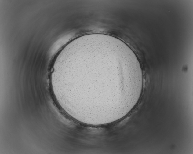 X0000116600245200912312103