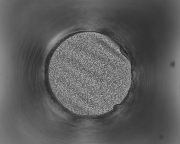 X0000116600246200912312103