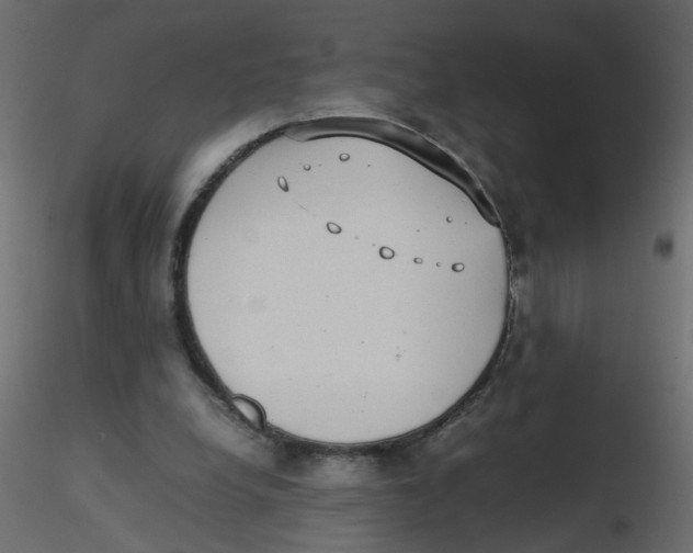 X0000116600248200912312103
