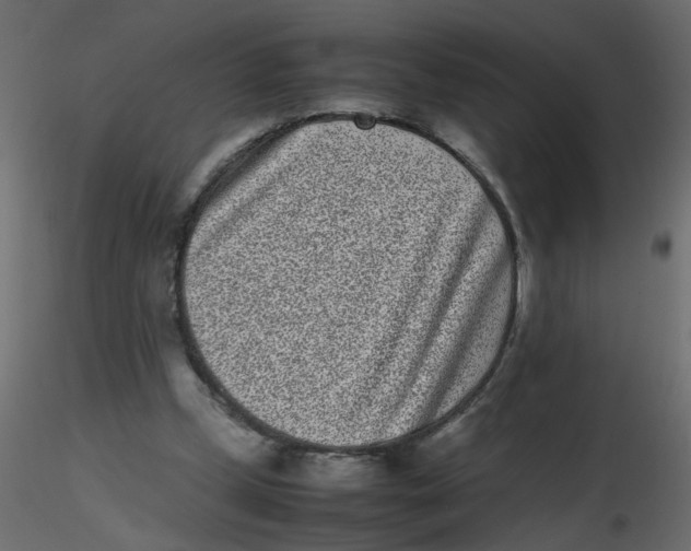 X0000116600249200912312103