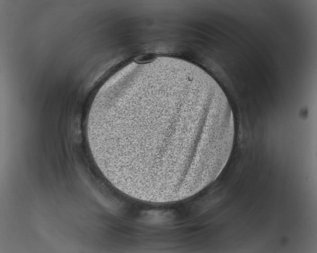 X0000116600251200912312103