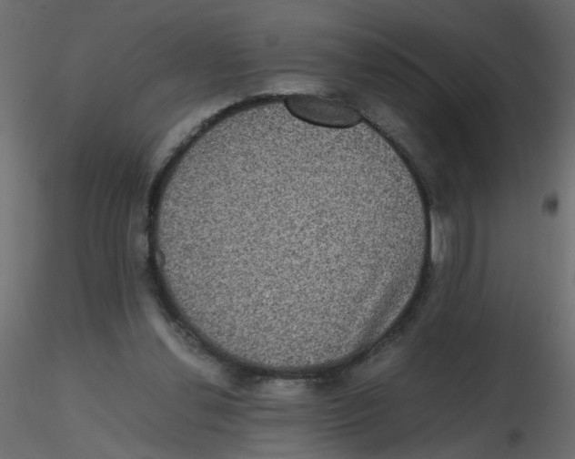 X0000116600252200912312103