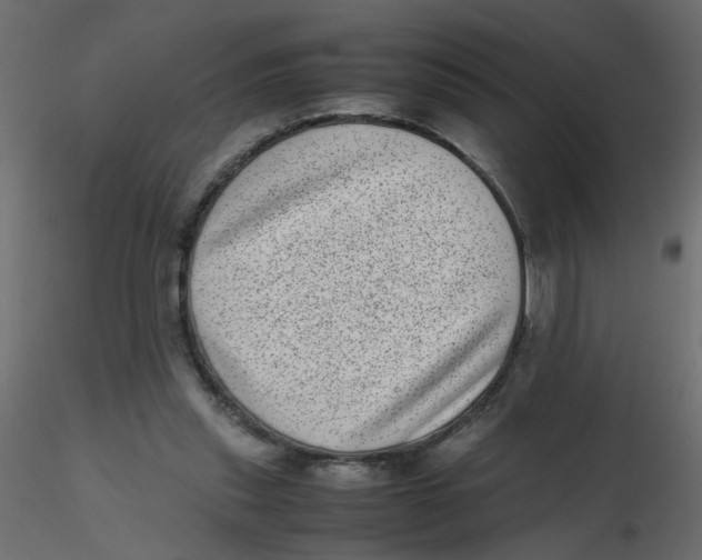 X0000116600253200912312103