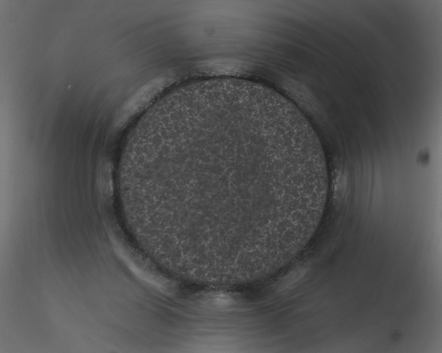 X0000116600254200912312103