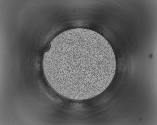 X0000116600255200912312103