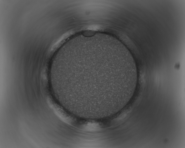 X0000116600256200912312103