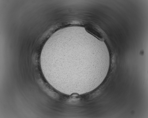 X0000116600257200912312103