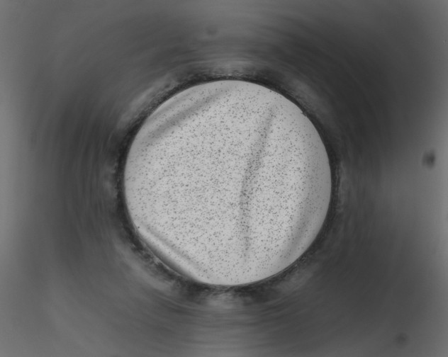 X0000116600258200912312103