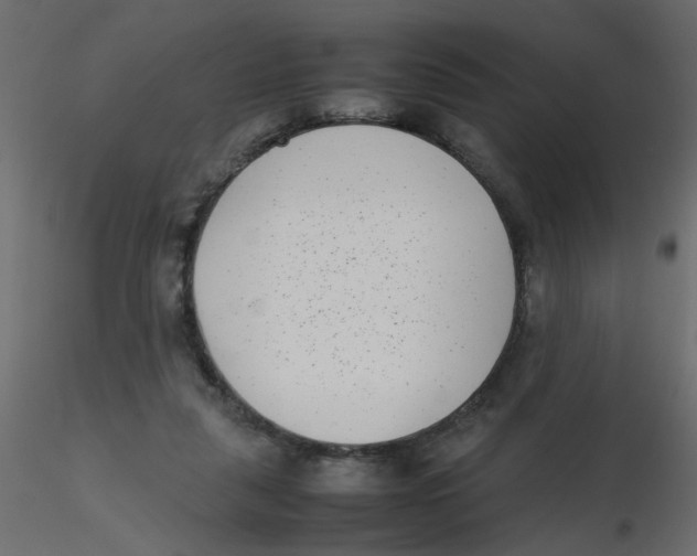 X0000116600259200912312103