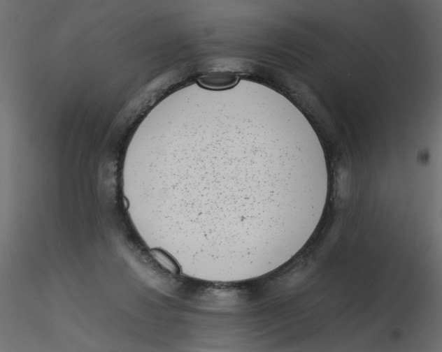 X0000116600260200912312103