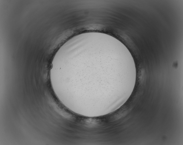 X0000116600261200912312103