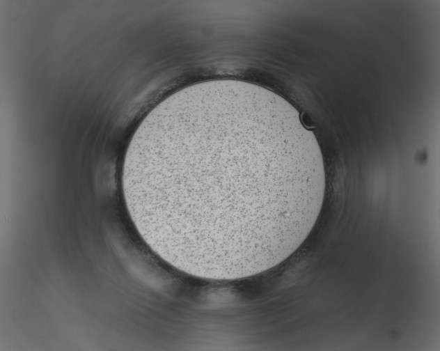 X0000116600262200912312103