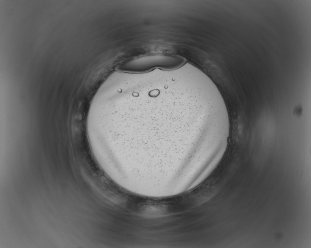 X0000116600263200912312103